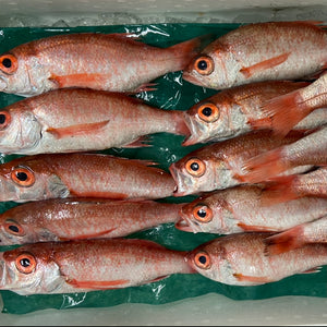 【ニュース】みんな大好き高級魚を使った冷凍食品