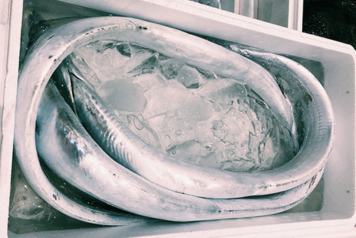 【炙って旨味倍増】竹岡の太刀魚 焼き霜作り（120g*1パック / 冷凍）】